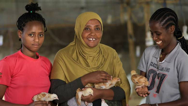 Mekia Mekonen, a smallholder chicken farmer, with young chicks. Photo: Mulugeta Wolde / IFC