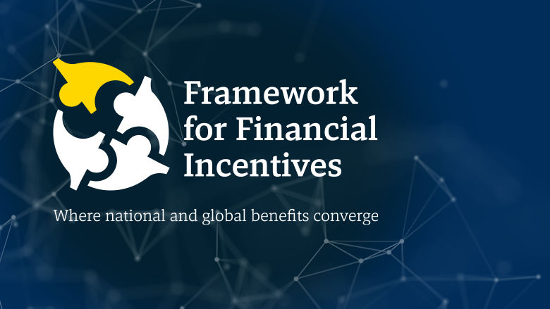 The Framework for Financial Incentives