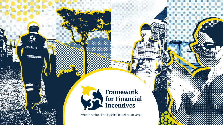 FFI in Action: Turning Cross-Border Challenges into Global Solutions