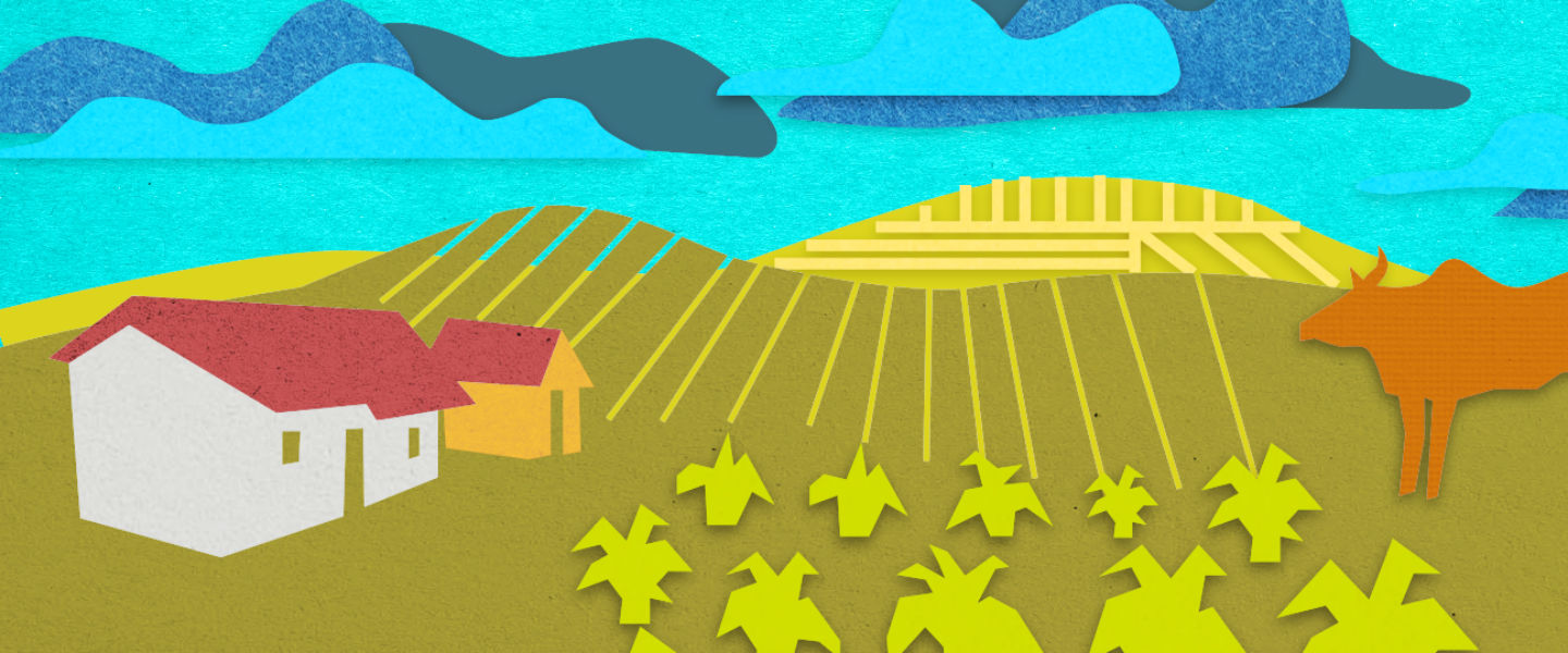 Farm and cow still image for financial health