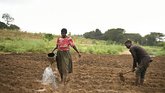 Farmers_Malawi