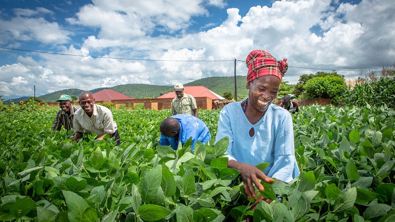 Farmers in Zambia
