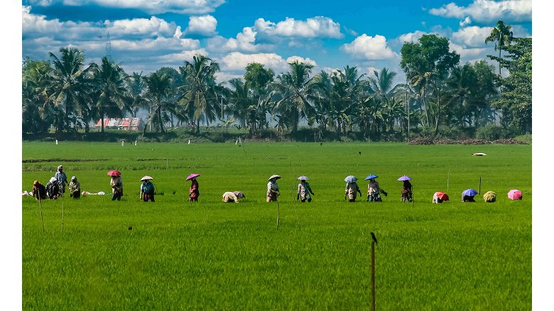 Farmers-in-Kerala.jpg