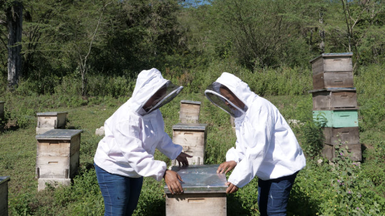 world biodiversity day - Caribbean 