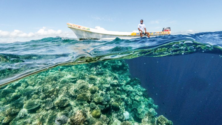 Thriving eco-systems like Moon Reef are possible with increasing marine protected areas in Fiji