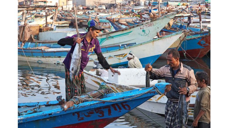 Fisheries in Yemen 
