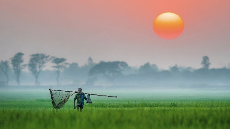 Foggy-magical-winter-morning-scenic-view-Real-beauty-of-rural-Bangladesh