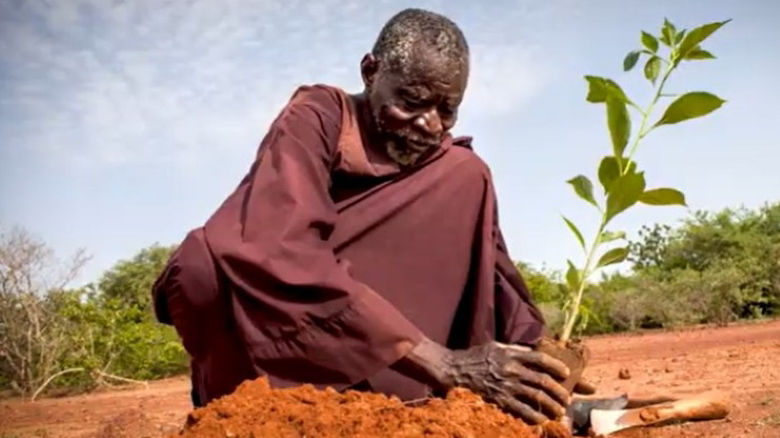 West Africa food insecurity SAHEL Website