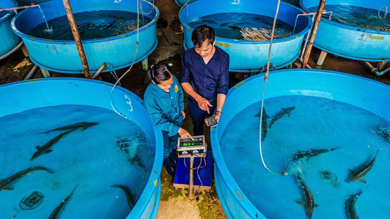 Future Jobs Lead Image New