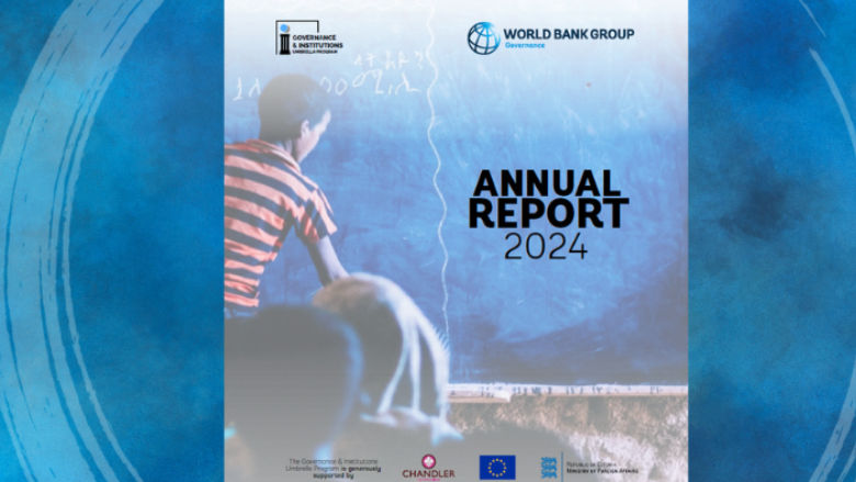 Governance and Institutions Annual Report 2024