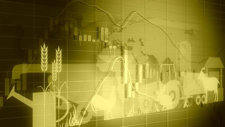 An image showing nutrition elements