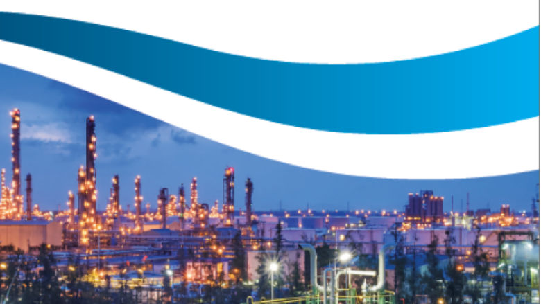 GFMR Annual Progress Report