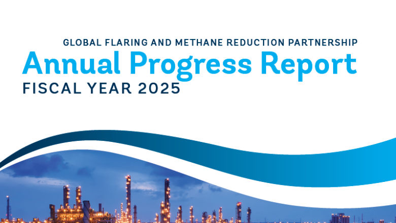 GFMR Annual Progress Report