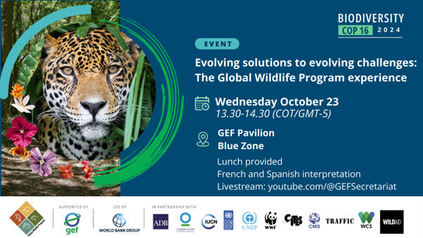 GWP-COP16EVENT2.png