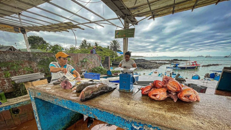 En Galápagos, Ecuador, se invierte para fomentar la producción local y sostenible de los productos del mar 