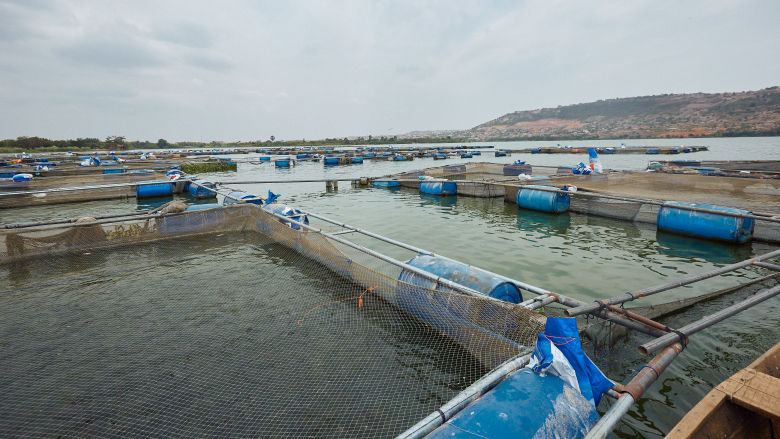 Ghana: Supporting Small and Medium Enterprises to Recover from the COVID-19 Pandemic