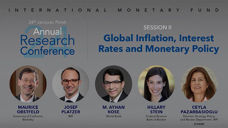 IMF conference image