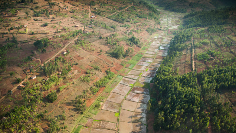 Global South Pillar_feature story