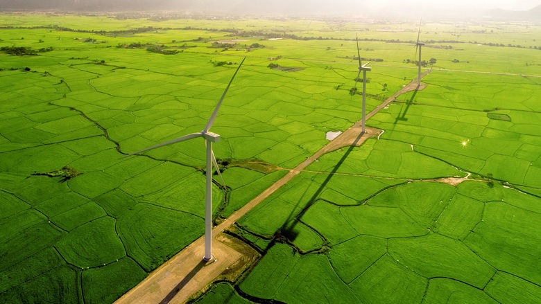 Green Horizon Feature Story