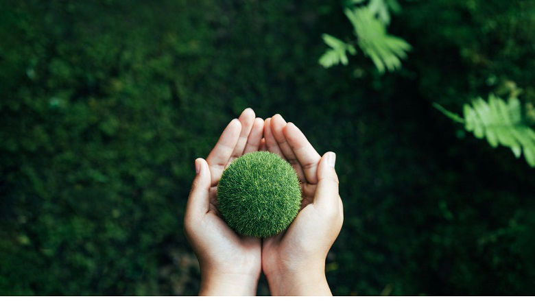 Green the public image governance blog