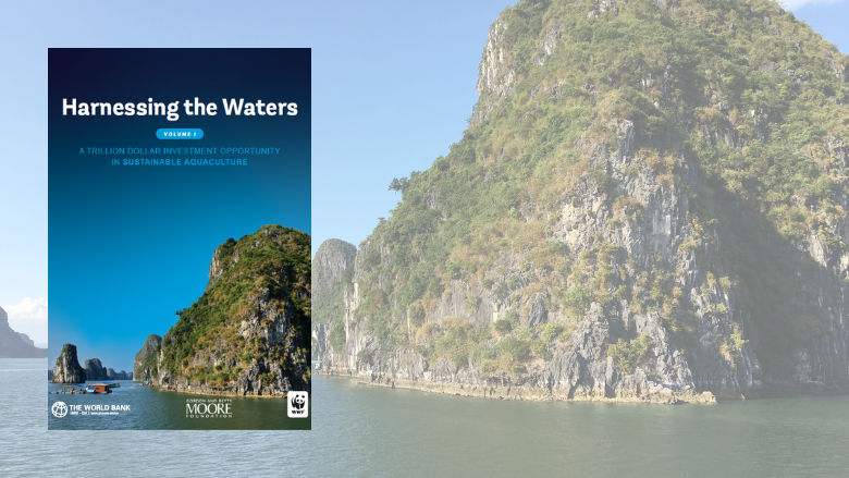 Harnessing-the-waters-Card report cover 