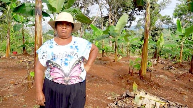 Heladia Arcia González, agricultora de la comarca Ngabe-Buglé 