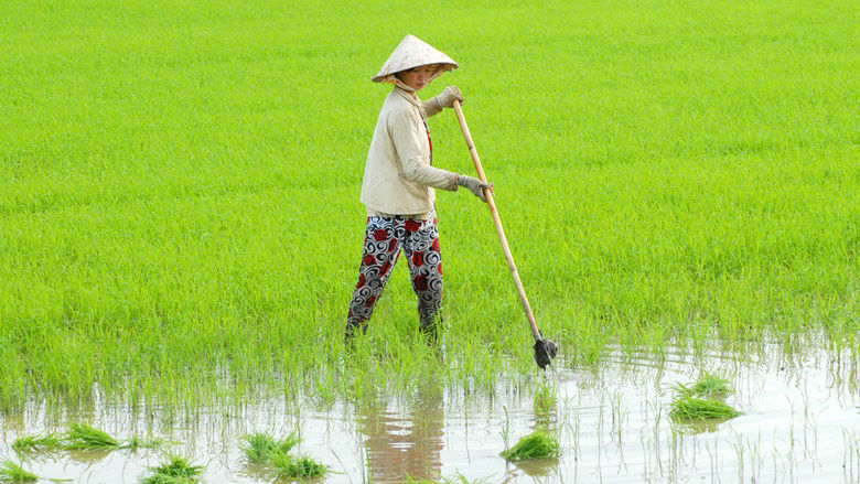 IDA21 EAP Brochure - Viet Nam