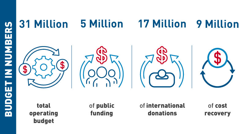 PDF budget in numbers