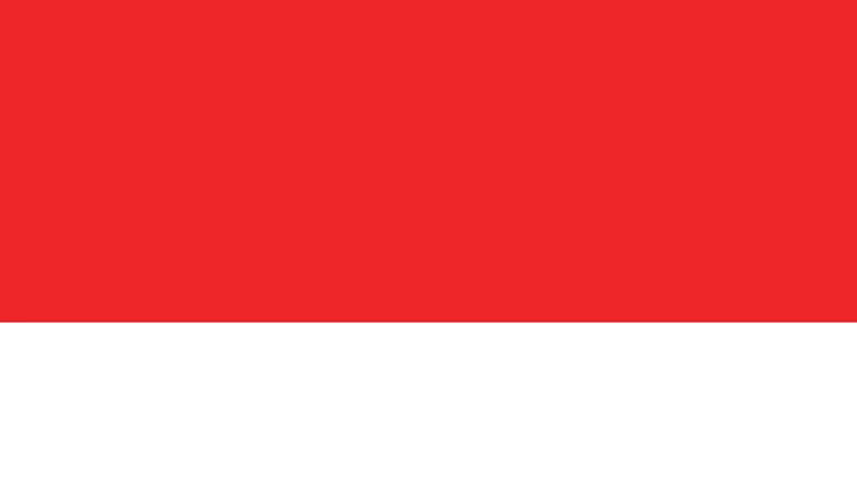 illustration of the Indonesia flag
