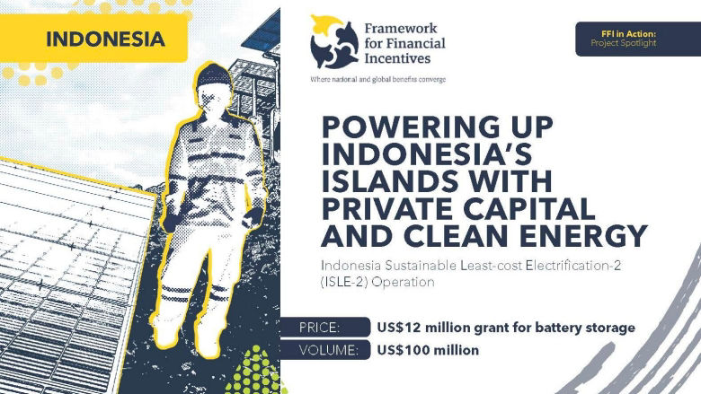 Indonesia FFI Project