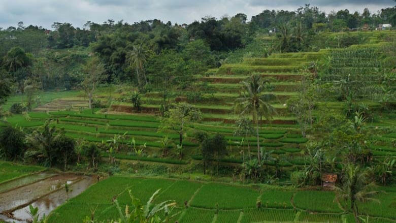 Indonesia Subang West Java 