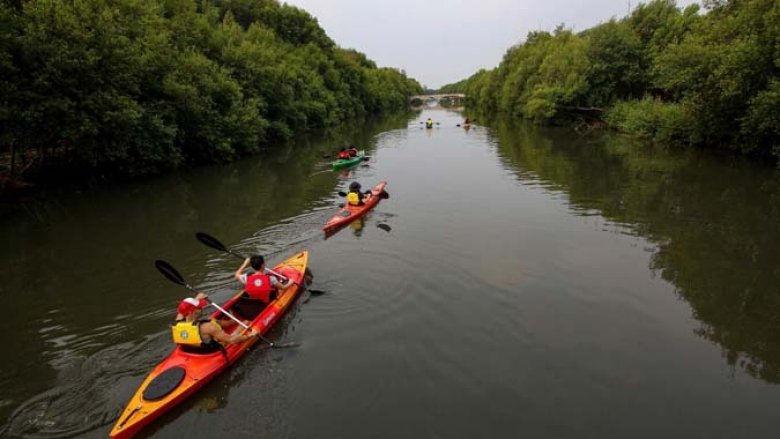Tourists use kayak boats to cross seawater which is inside the Mangrove Forest Park in the Pantai Indah Kapuk area, Jakarta, 