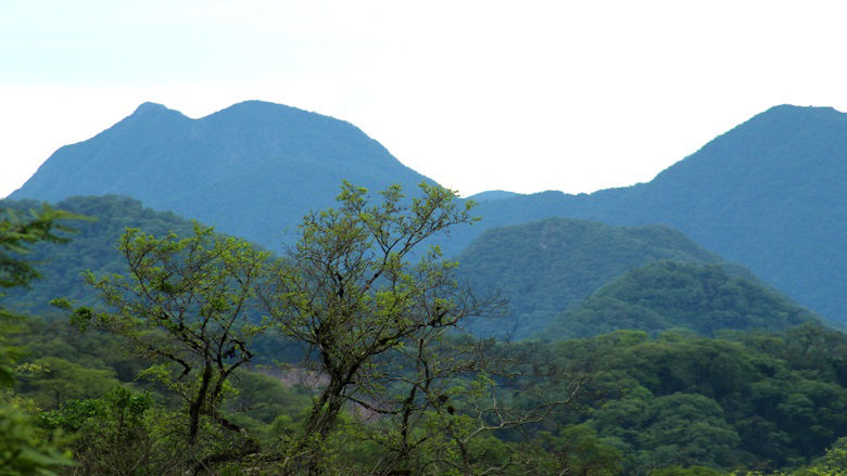  Informing sustainable land-use policies feature stories image