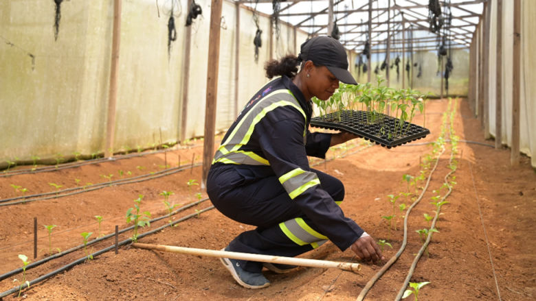 Jobs Unlocking Women’s Economic Potential and Boosting Economies 