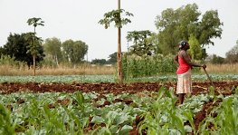 Women Farming Africa