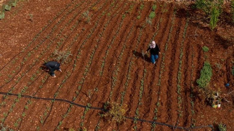 Jordan-Rural-Economic-Growth-and-Employment-Project-REGEP-March-2023