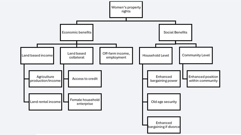 Land rights for women chart