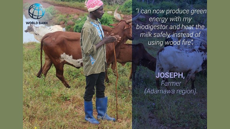 Livestock Development Project (PRODEL) in Cameroon
