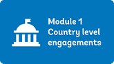 Module One Country Level Engagements