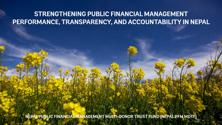 Public Financial Management Multi Donor Trust Fund