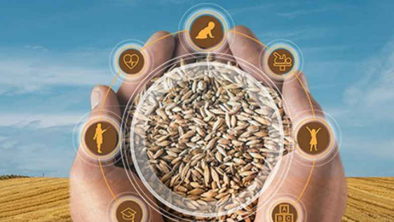 Altered Destinies Report Cover