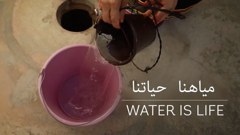 MENA 2025 Water
