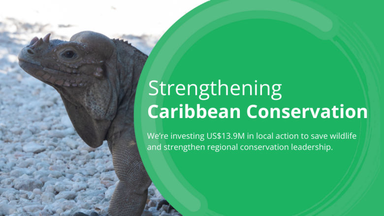 Caribbean Conservation