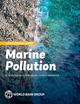 Marine Pollution Operational Brief 
