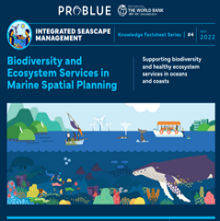 Marine Spatial Planning For A Resilient And Inclusive Blue Economy Toolkit