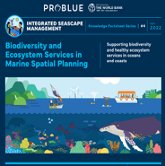 Marine Biodiversity and Ecosystem Services (BES) in Marine Spatial Planning
