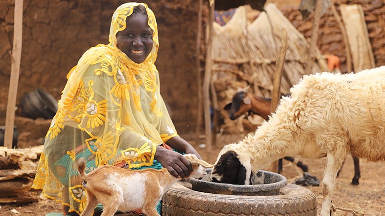 Niger: From selling millet balls to multi-businesswoman entrepreneur