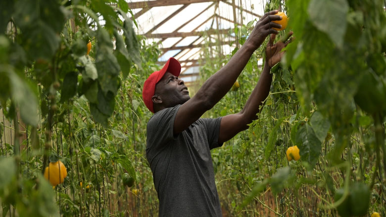 More Jobs through Investing in Human Capital