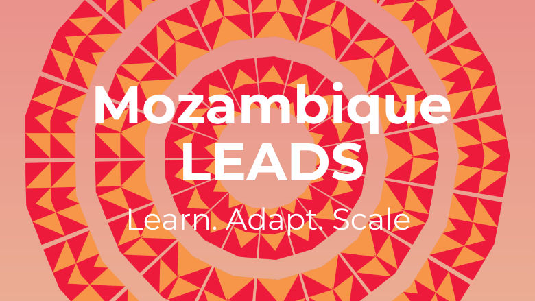 Mozambique LEADS Learn Adapt Scale poster