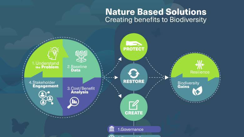 Nature-Based Solutions